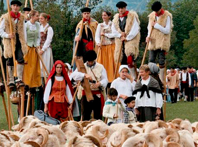 Shepherds festival