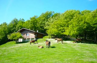 chalet d'Iraty